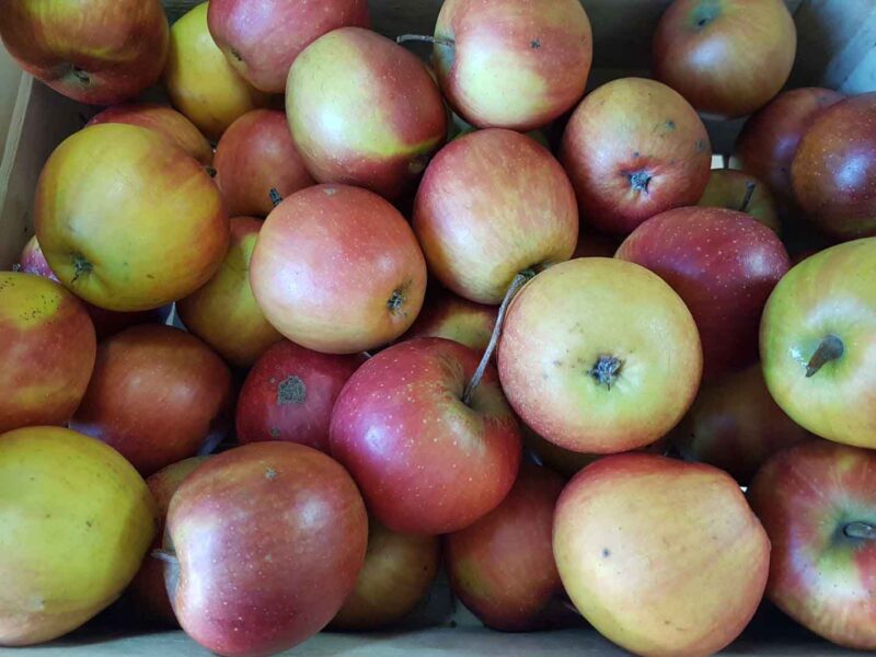 Pommes  bio (le kg) dispo à partir du mercredi