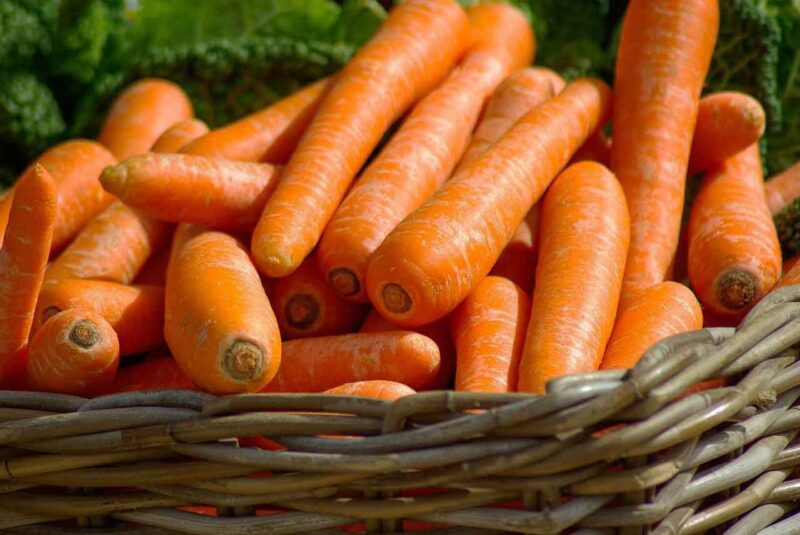 Carottes bio